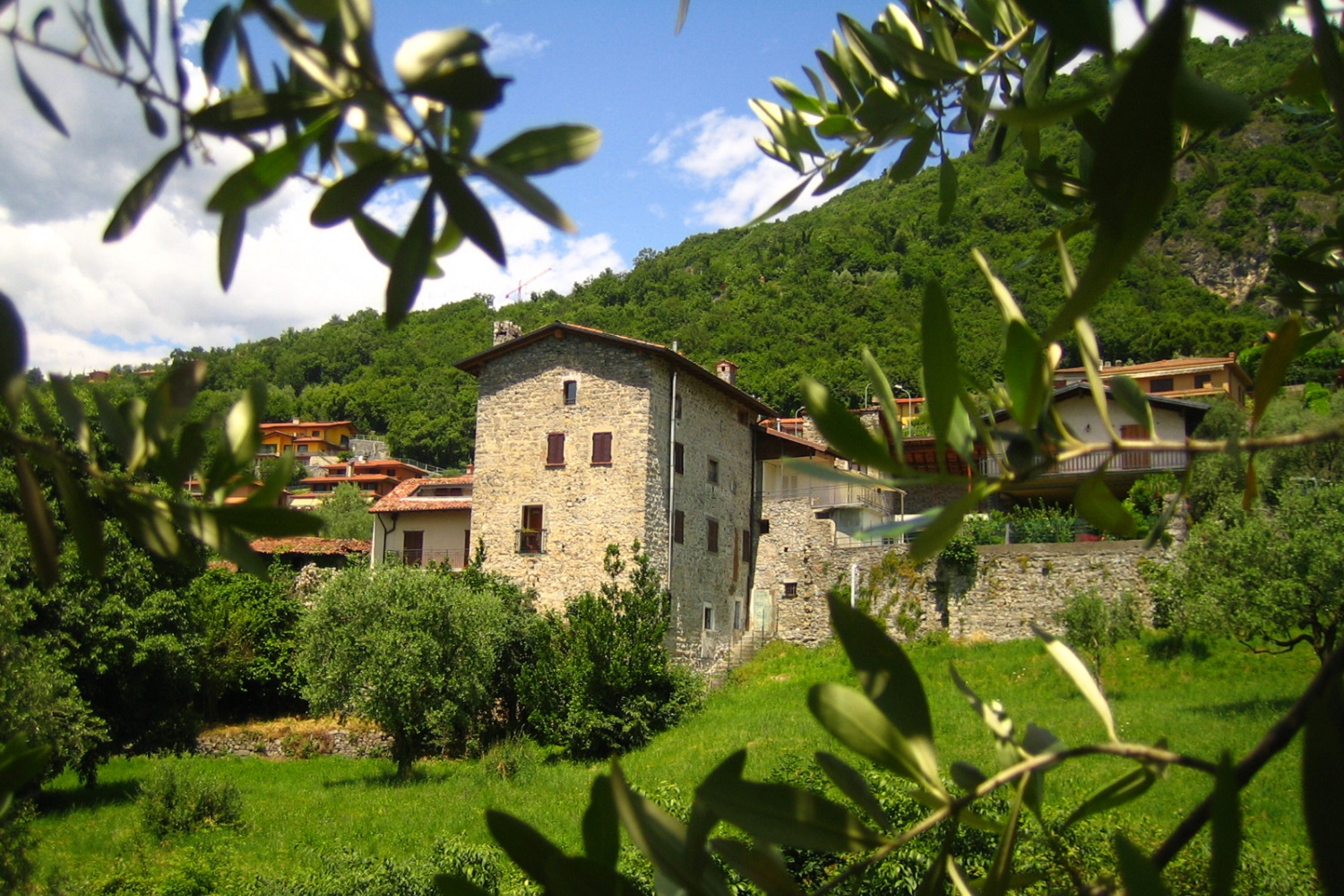 Zorzino - 1